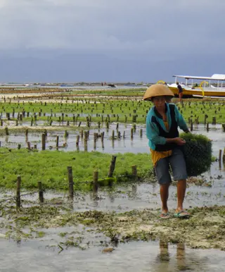 Das spannende Nusa Lembongan erforschen